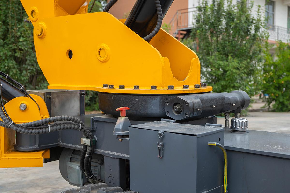 虹姐彩色印刷图片库