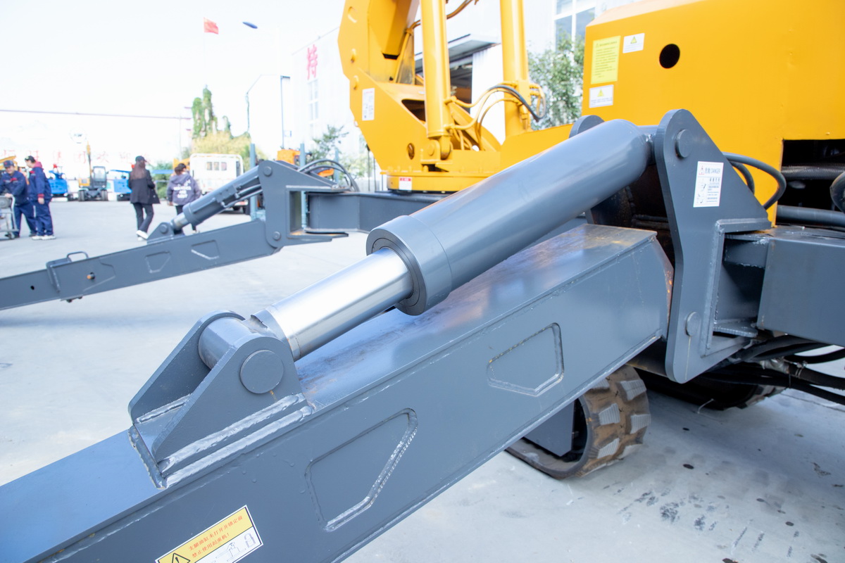 虹姐彩色印刷图片库